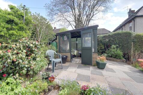 Back garden 2