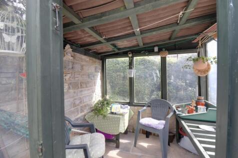Back garden 3