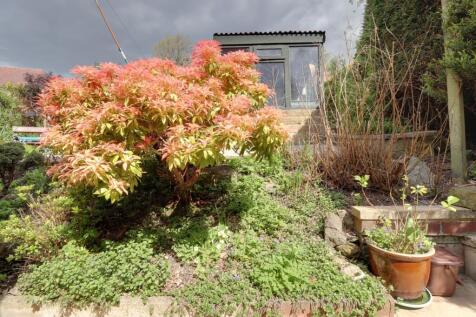 Back garden 5