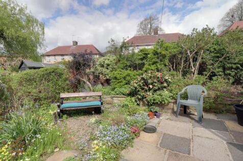 Back garden 4