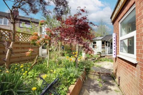 Back Garden