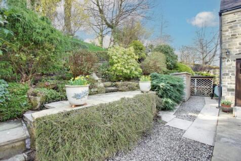 Back Garden