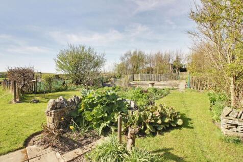 Back Garden