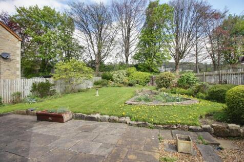 Back Garden
