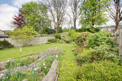 Back Garden