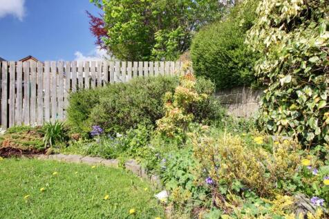 Back Garden