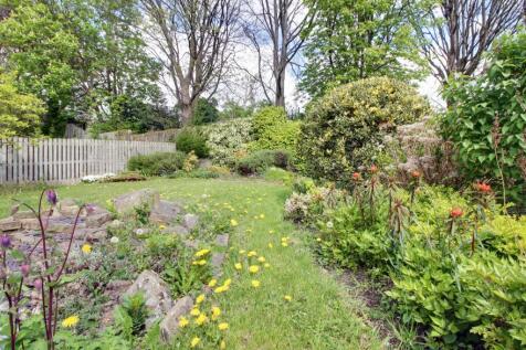 Back Garden