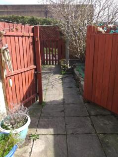 Garden 4