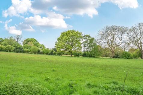 View Over Field