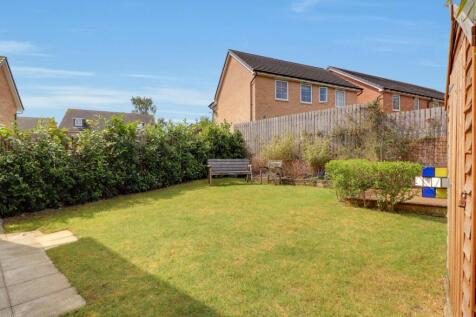 View of the rear garden 