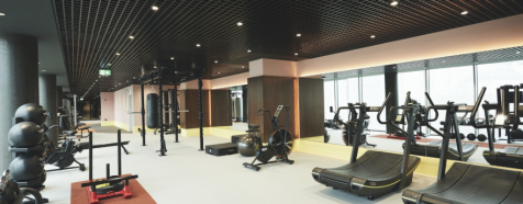 State of the Art Gym