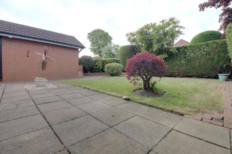 View of the back garden