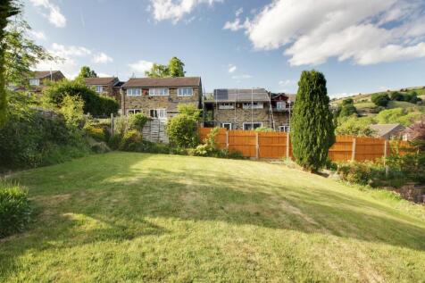 Back Garden