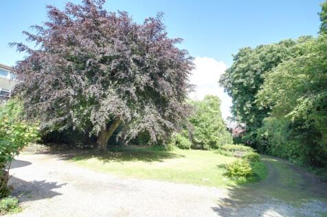 The  shared front garden
