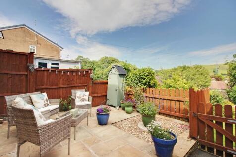 Back Garden 