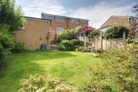 Back Garden 