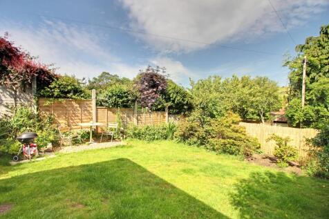 Back Garden 