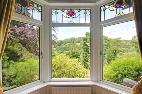 View from Living Room