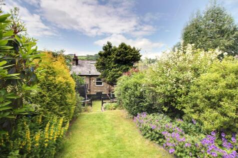Back Garden