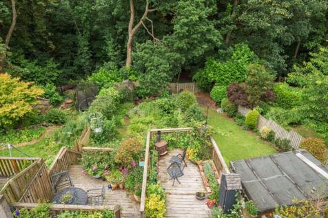 Back garden