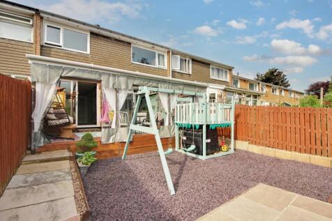 Back Garden