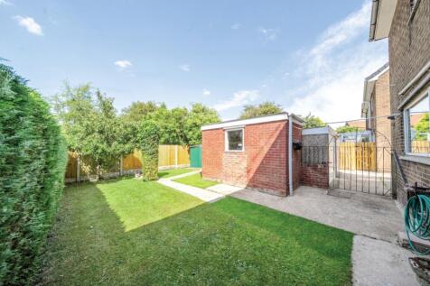 Back Garden