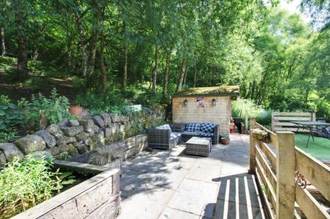 Back Garden