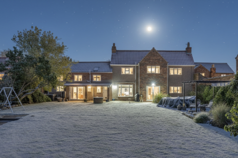 Rear Garden By Night