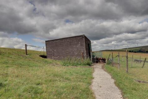 Lambing shed