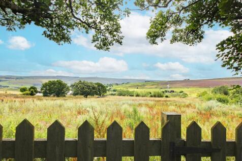 View from Back Garden