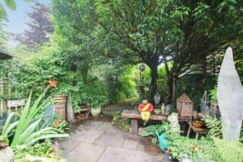 Back Garden