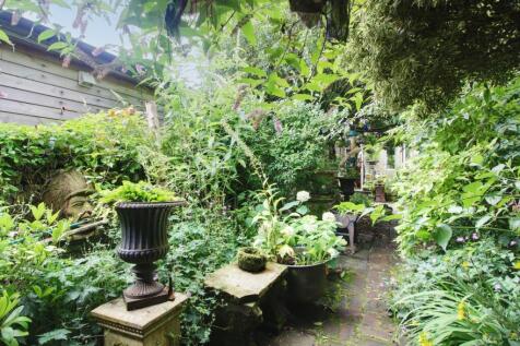 Back Garden