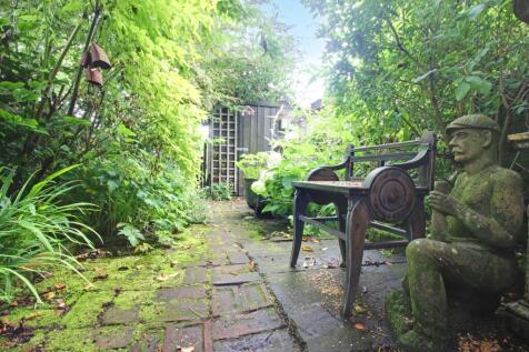 Back Garden