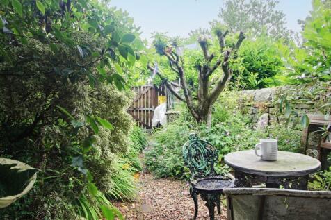 Back Garden
