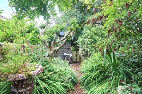 Back Garden