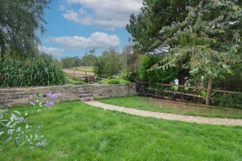 Back Garden