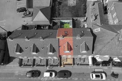 Plot View