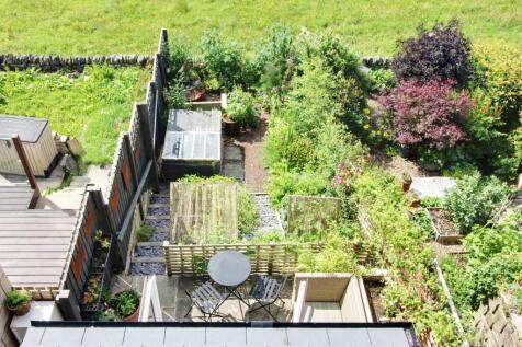 Back Garden
