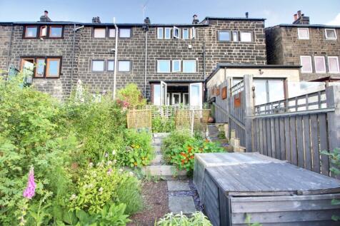 Back Garden