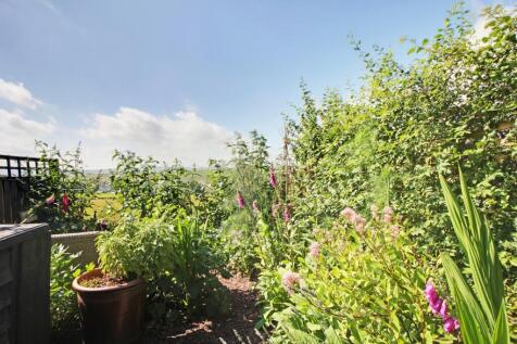 Back Garden