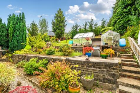 Large Rented Garden Plot