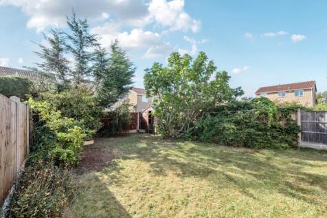 Back Garden