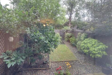 Back garden