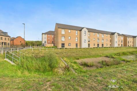 CAM02351G0-PR0079-STILL007