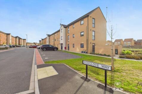 CAM02351G0-PR0079-STILL004