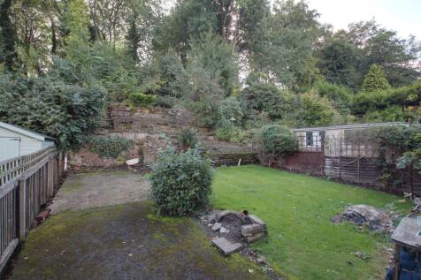 Back garden