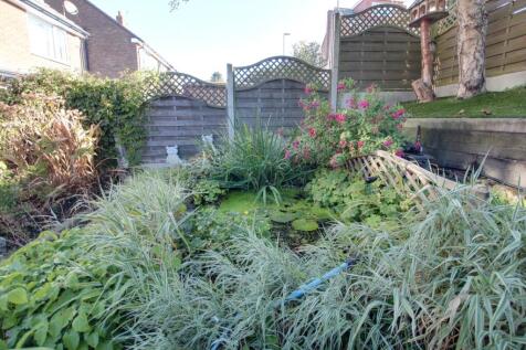Part of the garden showing the pond