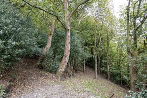 Woodland walk 85 meters away