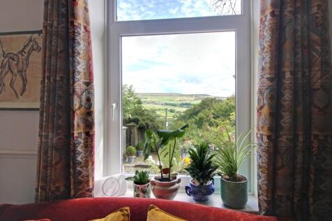 View from Living Room