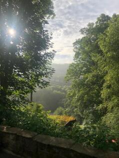 View From  Garden